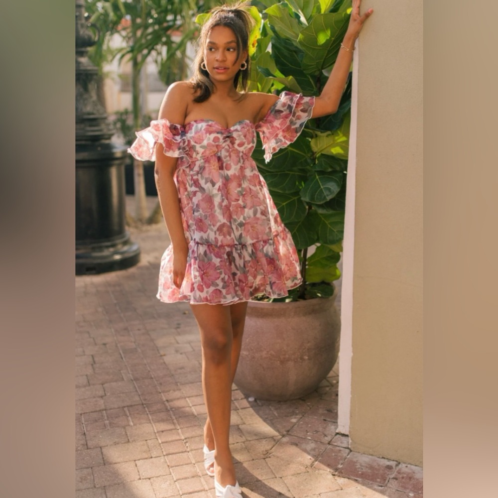Vestique boutique mini dress